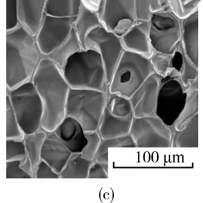 温度对超临界发泡的影响